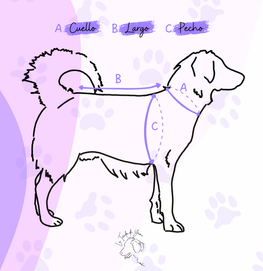 ¿Cómo medir a tu perrito para saber su talla de ropa?