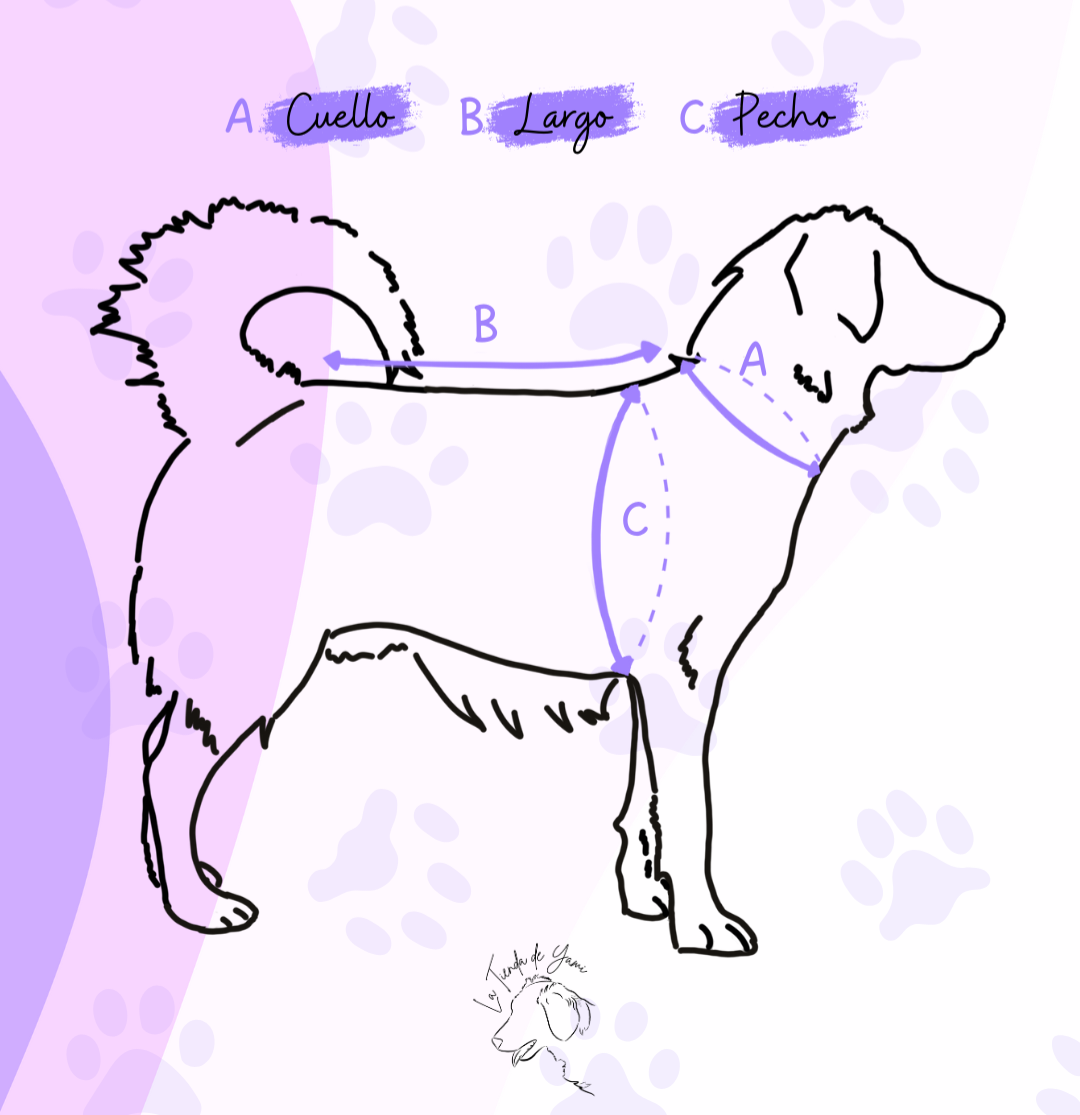 ¿Cómo medir a tu perrito para saber su talla de ropa?