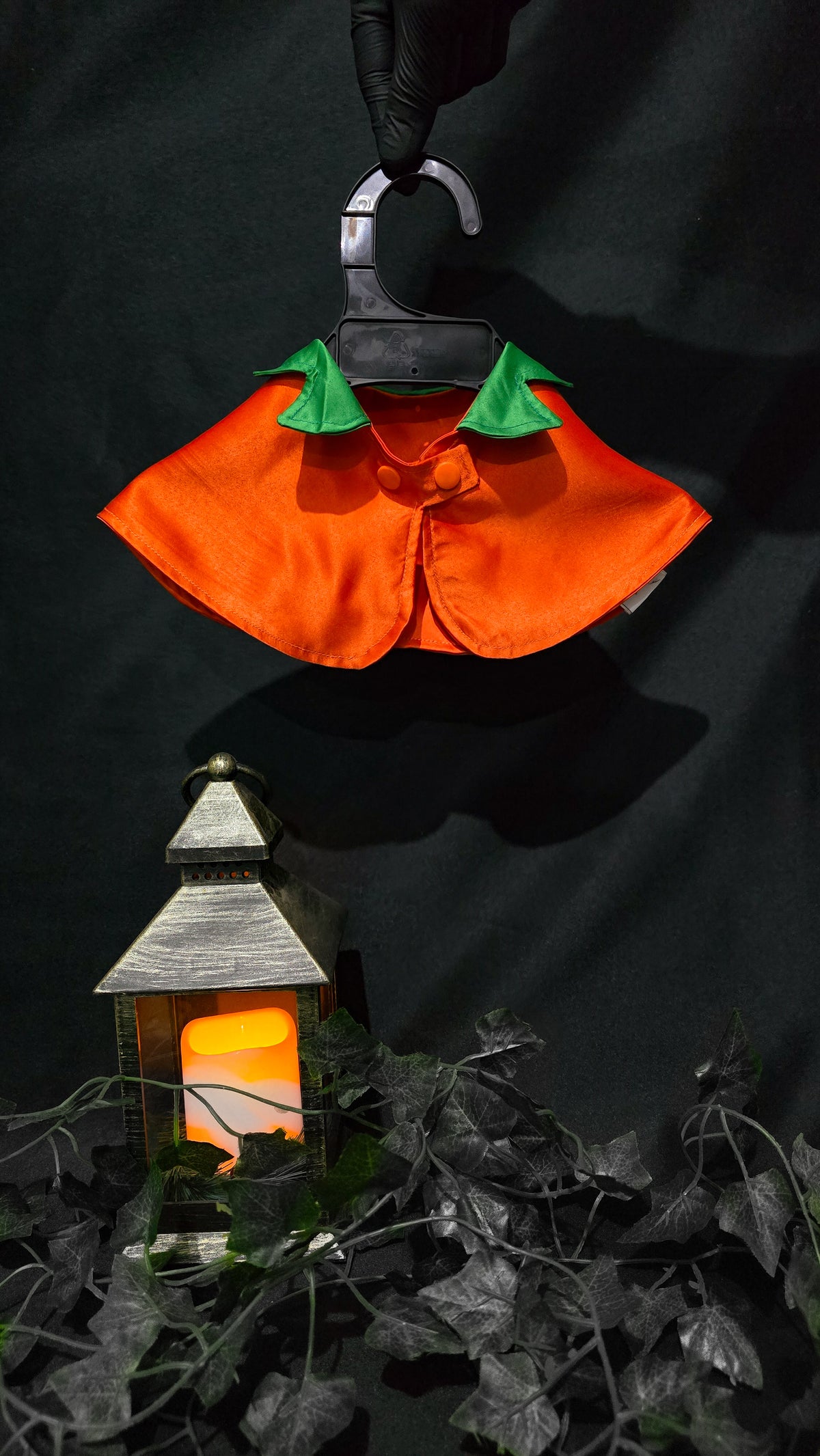 Calabaza