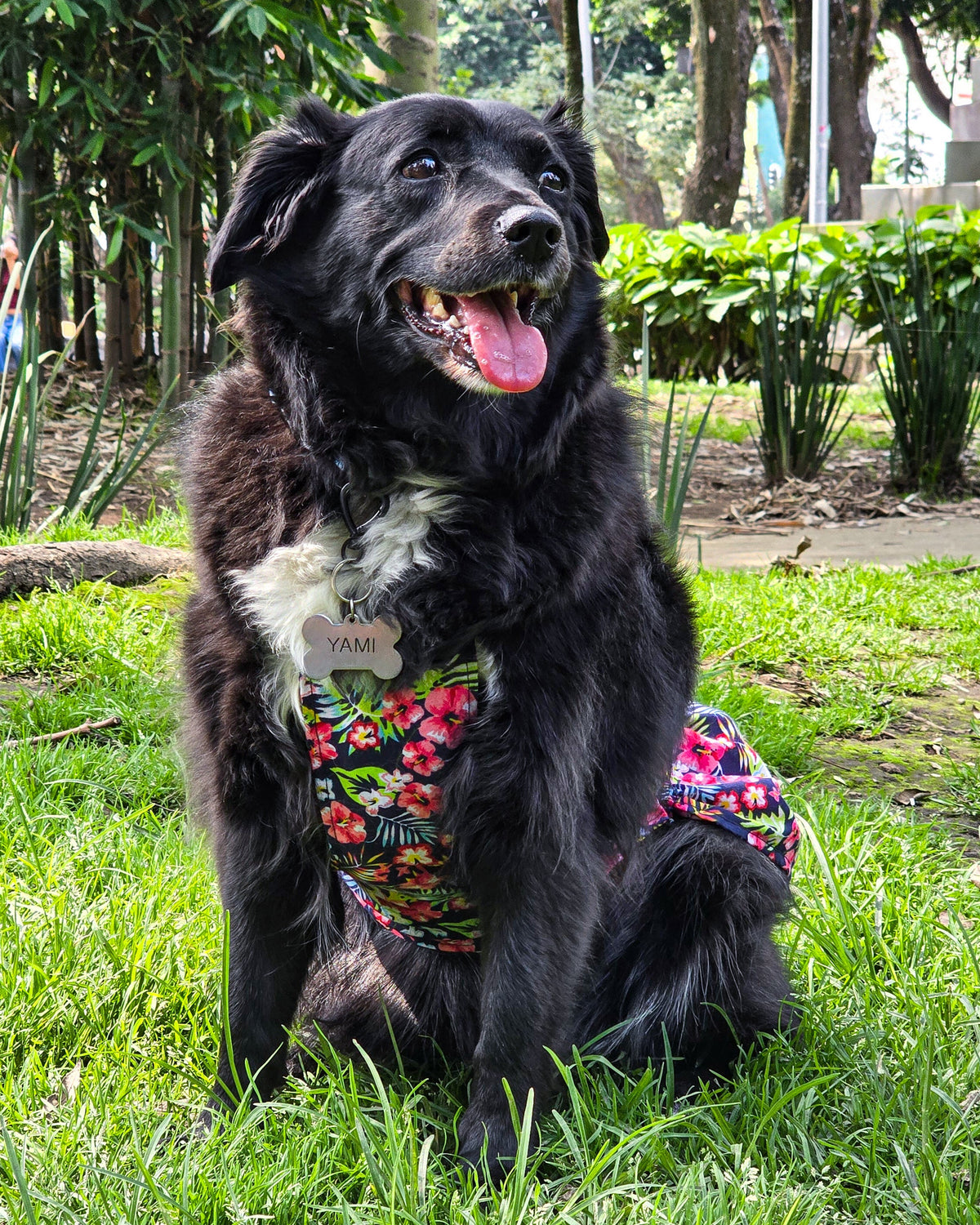 Vestido Tropical