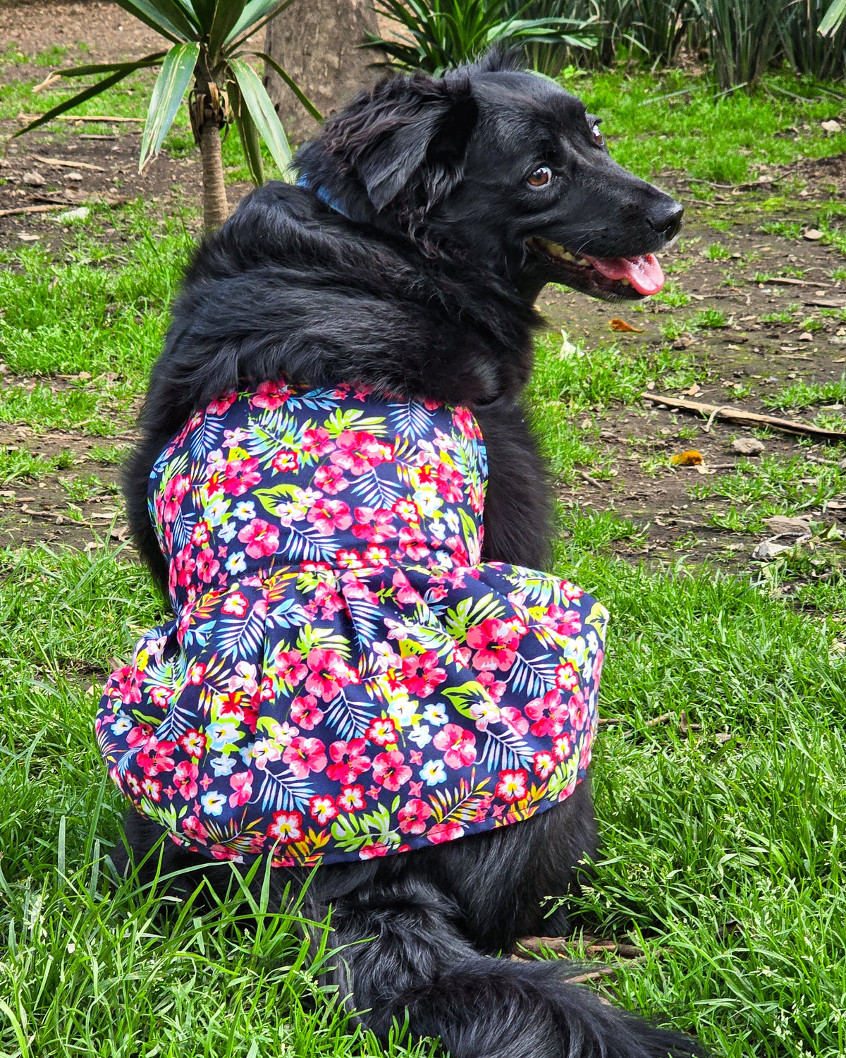 Vestido Tropical