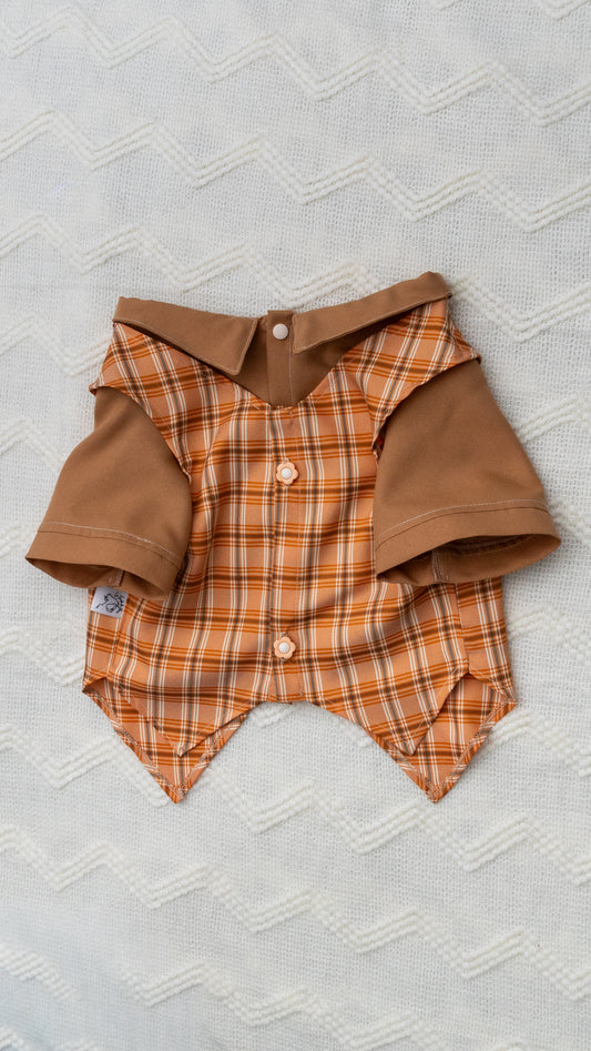 Camisa Pawmpkin Spice