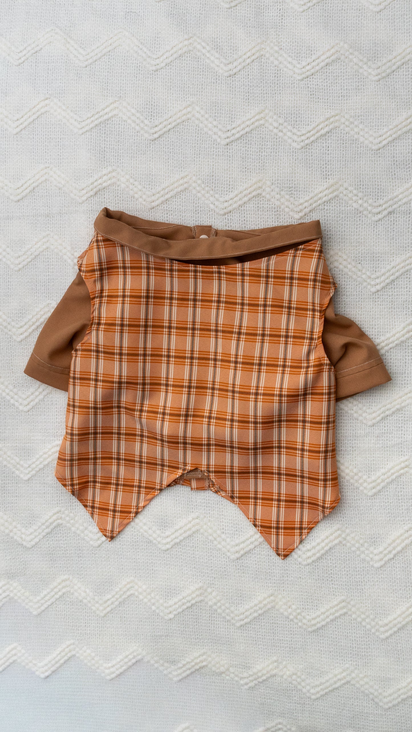 Camisa Pawmpkin Spice