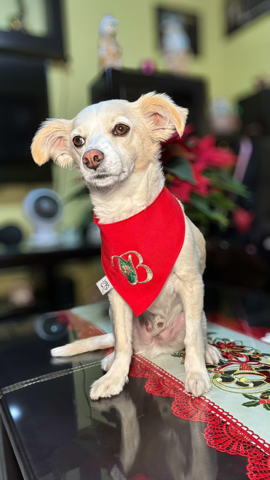 Bandana Holiday Pup