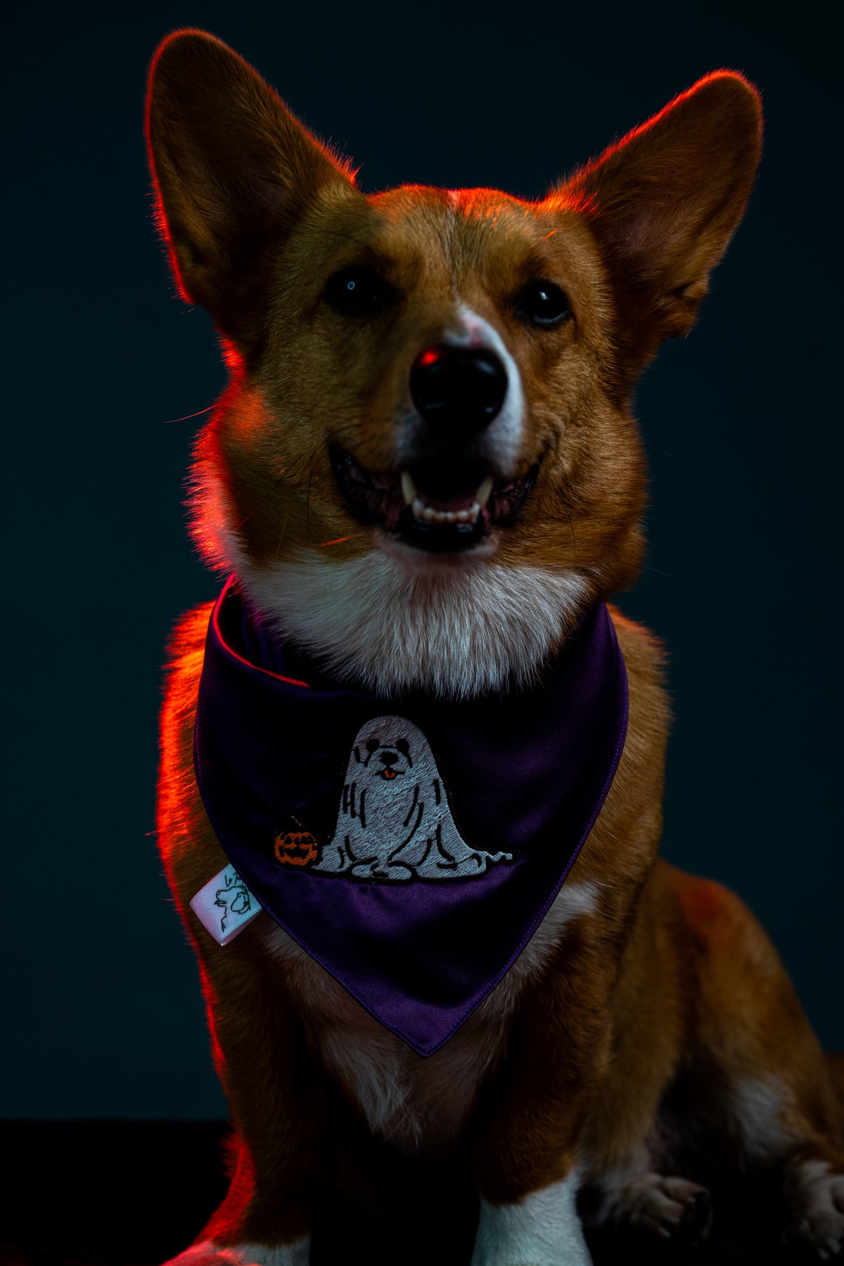Bandana Boof